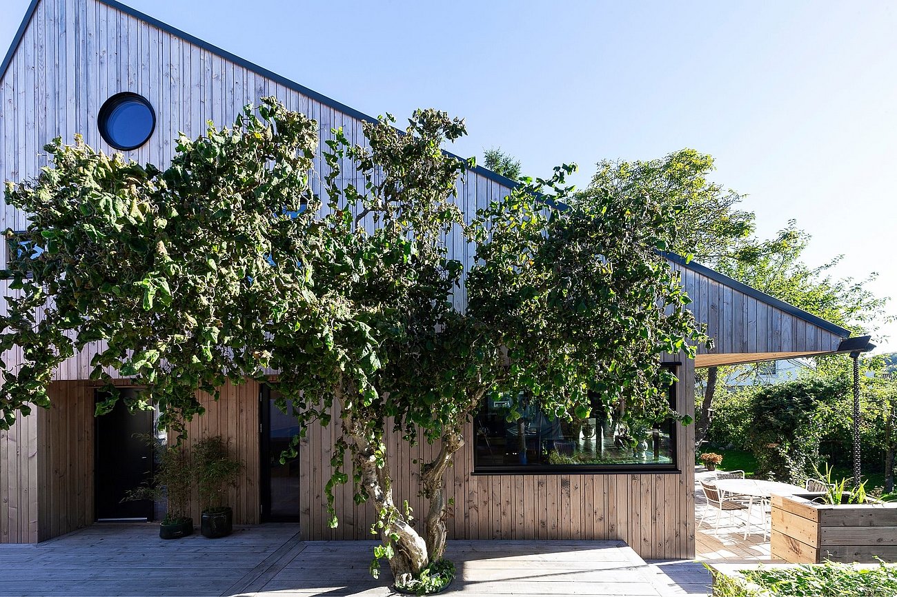 Arkitekttegnet hus i CLT-træ med lavt klimaaftryk